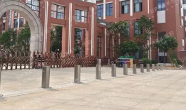 学校91视频在线成人是否有必要